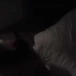 Dahlia_Dark video