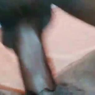 Kelly video