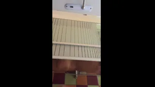 Melanie Dedigama preview